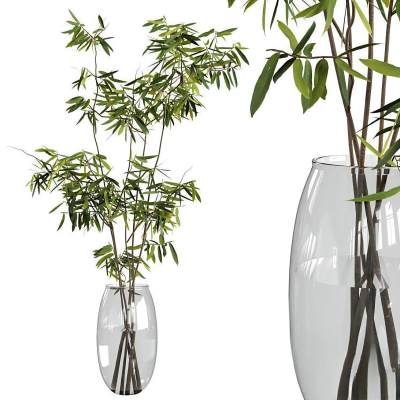 水生植物